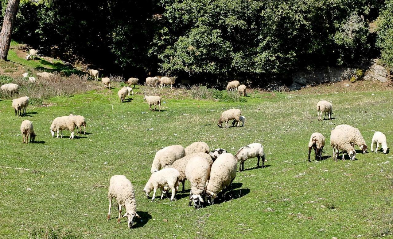 San Quírico Safaja Cova Safaja 아파트 외부 사진